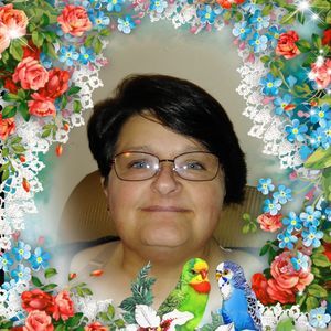 Meet your Posher, Peggy